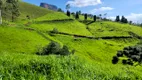 Foto 15 de Fazenda/Sítio à venda, 32000m² em Paiol Grande, São Bento do Sapucaí