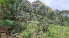 Foto 15 de Lote/Terreno à venda, 2816m² em Bosque da Ribeira, Nova Lima