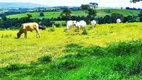 Foto 3 de Lote/Terreno à venda em Centro Empresarial Castelo Branco, Boituva