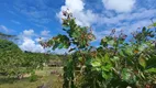 Foto 17 de Fazenda/Sítio com 2 Quartos à venda, 2500m² em Monte Gordo Monte Gordo, Camaçari