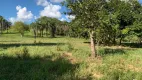 Foto 16 de Fazenda/Sítio com 3 Quartos à venda, 300000m² em Zona Rural, Dores do Indaiá