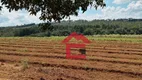 Foto 35 de Fazenda/Sítio com 4 Quartos à venda, 600m² em Sebandilha, Mairinque