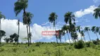 Foto 30 de Fazenda/Sítio à venda em Zona Rural, Niquelândia