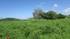 Foto 13 de Fazenda/Sítio com 2 Quartos à venda, 50000m² em Maraporã, Cachoeiras de Macacu