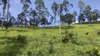 Foto 2 de Lote/Terreno à venda, 36000m² em Zona Rural, Delfim Moreira