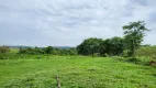 Foto 7 de Fazenda/Sítio com 4 Quartos à venda em Zona Rural, Aragoiânia