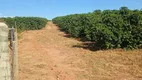 Foto 21 de Fazenda/Sítio com 4 Quartos à venda, 128260m² em Zona Rural, Monte Santo de Minas