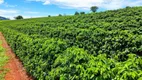 Foto 14 de Fazenda/Sítio à venda, 1m² em , Caconde