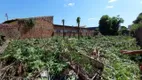 Foto 3 de Lote/Terreno à venda, 600m² em Picarra, Teresina