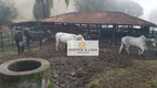 Foto 9 de Fazenda/Sítio com 3 Quartos à venda, 400m² em Pouso Alto, Natividade da Serra