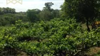 Foto 9 de Fazenda/Sítio com 6 Quartos à venda, 300m² em Reforma Agraria, Valinhos
