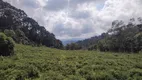 Foto 7 de Fazenda/Sítio à venda, 54700m² em Zona Rural, Marmelópolis