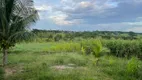 Foto 5 de Fazenda/Sítio com 2 Quartos à venda, 9000m² em Cobe de Cima, Vera Cruz