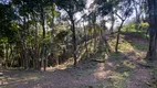 Foto 80 de Fazenda/Sítio com 3 Quartos à venda, 14900m² em Bonfim, Almirante Tamandaré
