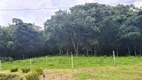 Foto 16 de Fazenda/Sítio com 6 Quartos à venda, 60000m² em Rio Lessa, Alfredo Wagner