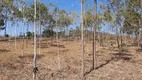 Foto 74 de Fazenda/Sítio com 3 Quartos à venda, 113000m² em Riacho Fundo I, Brasília