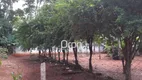 Foto 5 de Fazenda/Sítio com 4 Quartos à venda, 310m² em Rodoviário, Goiânia