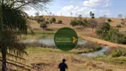 Foto 14 de Fazenda/Sítio à venda, 13310000m² em Zona Rural , Morrinhos