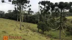 Foto 6 de Lote/Terreno à venda, 120000m² em , Rio Rufino