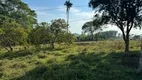 Foto 16 de Fazenda/Sítio à venda, 89000m² em Area Rural de Patos de Minas, Patos de Minas