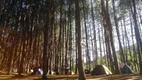 Foto 19 de Lote/Terreno à venda, 710000m² em Floresta, Gramado