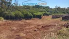 Foto 3 de Lote/Terreno à venda, 10106m² em Centro, Jandaia do Sul