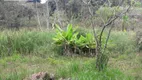 Foto 69 de Fazenda/Sítio com 2 Quartos à venda, 90m² em Jardins, Bragança Paulista