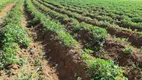 Foto 9 de Fazenda/Sítio com 3 Quartos à venda, 150m² em Zona Rural, Campo Verde