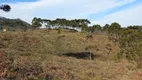 Foto 14 de Lote/Terreno à venda, 20000m² em Zona Rural, Urubici