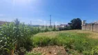 Foto 11 de Lote/Terreno para alugar, 350m² em Jardim Cura D'ars, Campinas