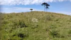 Foto 10 de Fazenda/Sítio com 1 Quarto à venda, 450000m² em Oliva, Caxias do Sul