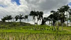 Foto 17 de Fazenda/Sítio com 5 Quartos à venda, 484000m² em Centro, Pariquera-Açu