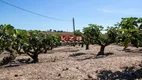 Foto 6 de Fazenda/Sítio com 4 Quartos à venda, 600m² em Centro, Morungaba