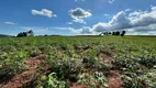 Foto 24 de Fazenda/Sítio com 3 Quartos à venda, 254100m² em Zona Rural, Jacutinga