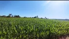 Foto 6 de Fazenda/Sítio com 1 Quarto à venda, 1100000m² em Zona Rural, São Gotardo