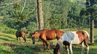 Foto 32 de Fazenda/Sítio com 2 Quartos à venda, 145200m² em São Francisco Xavier, São José dos Campos