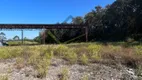 Foto 9 de Lote/Terreno para venda ou aluguel, 11400m² em Palmeiras de São Paulo, Suzano