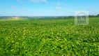 Foto 11 de Fazenda/Sítio à venda, 50500000m² em Zona Rural, Uberlândia