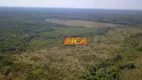 Foto 17 de Fazenda/Sítio à venda, 6850000m² em , Humaitá