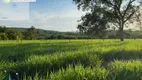 Foto 3 de Fazenda/Sítio à venda, 16940000m² em Zona Rural, Divinópolis do Tocantins