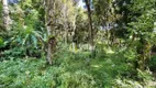 Foto 6 de Fazenda/Sítio com 2 Quartos à venda, 160m² em Planta Granjas Eldorado, Piraquara