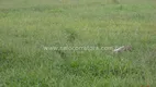 Foto 14 de Fazenda/Sítio à venda em Zona Rural, Rio Verde de Mato Grosso