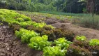 Foto 18 de Lote/Terreno à venda, 1875m² em Mirante do Vale, Jacareí