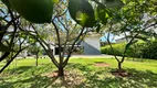 Foto 39 de Fazenda/Sítio com 4 Quartos à venda, 2094m² em Zona Rural, Bela Vista de Goiás