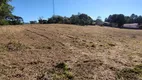 Foto 3 de Lote/Terreno à venda, 10000m² em Vila Santa Terezinha, Campo Largo