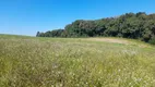 Foto 4 de Fazenda/Sítio com 1 Quarto à venda, 60000m² em Campo Largo da Roseira, São José dos Pinhais