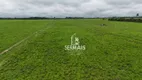 Foto 8 de Fazenda/Sítio à venda, 2420000m² em Centro, Seringueiras