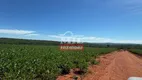 Foto 10 de Fazenda/Sítio à venda, 2330000m² em Zona Rural , Morrinhos