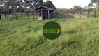 Foto 3 de Fazenda/Sítio à venda, 800000m² em Zona Rural, Nova América