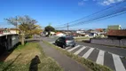 Foto 4 de Lote/Terreno à venda, 200m² em Jardim Carmem, São José dos Pinhais